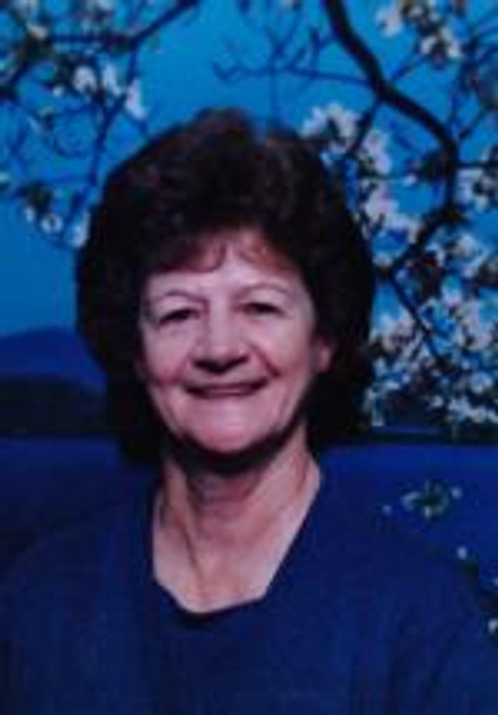 Joyce Nell Irvin