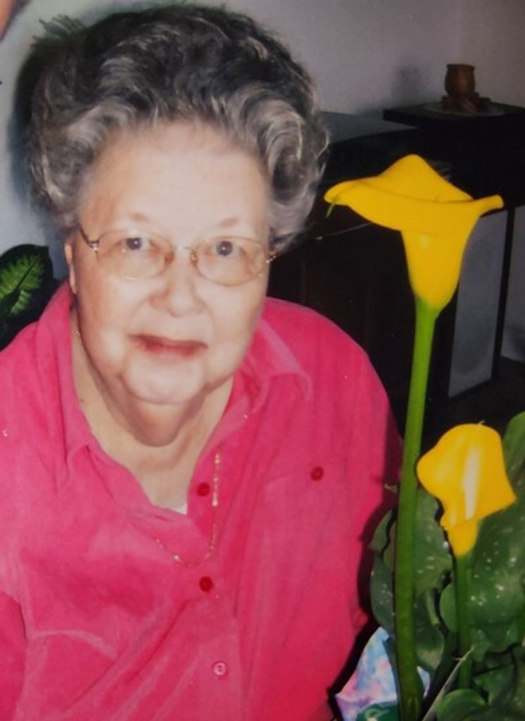 Suzanna "Sue" Safford Lein