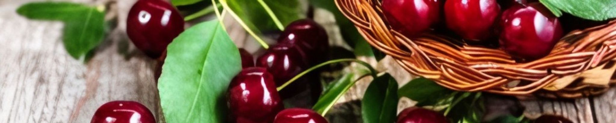 Cover for Lady Natalie Elaine Franklin Clarke Hillegas's Obituary