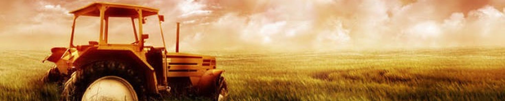 Cover for Eugene C. Wells, Jr.'s Obituary