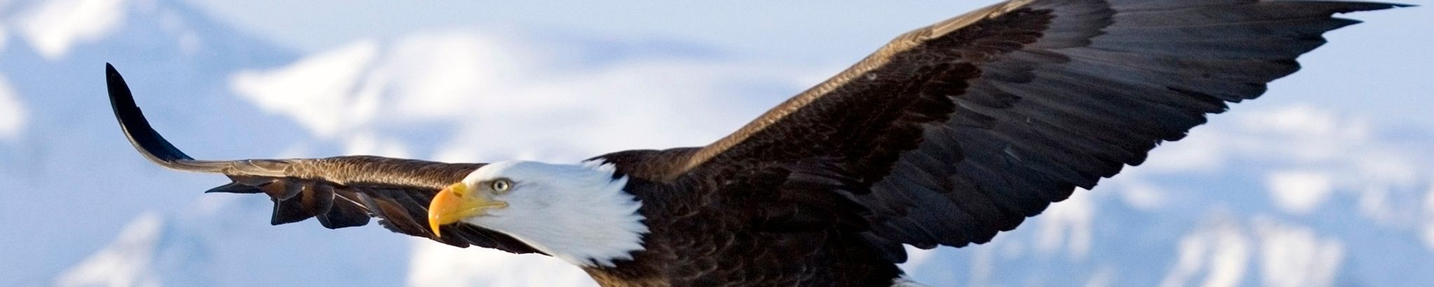 Cover photo for Douglas Berry's Obituary