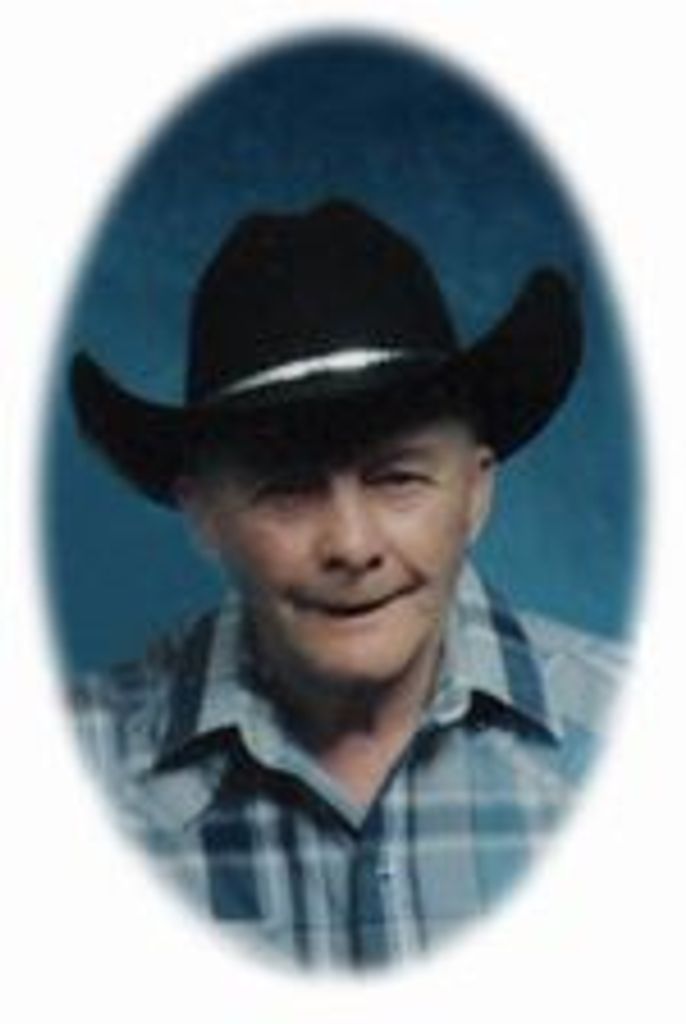 Martin G Anderson