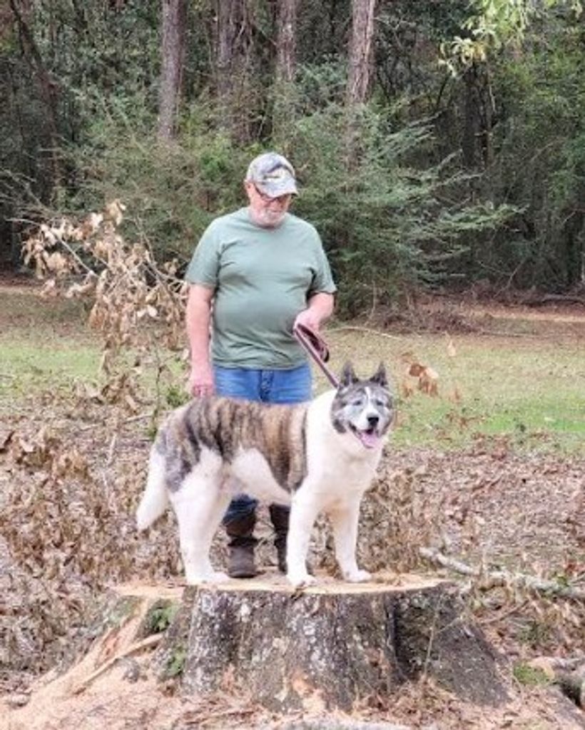Arthur Lee Jenkins Jr Profile Photo