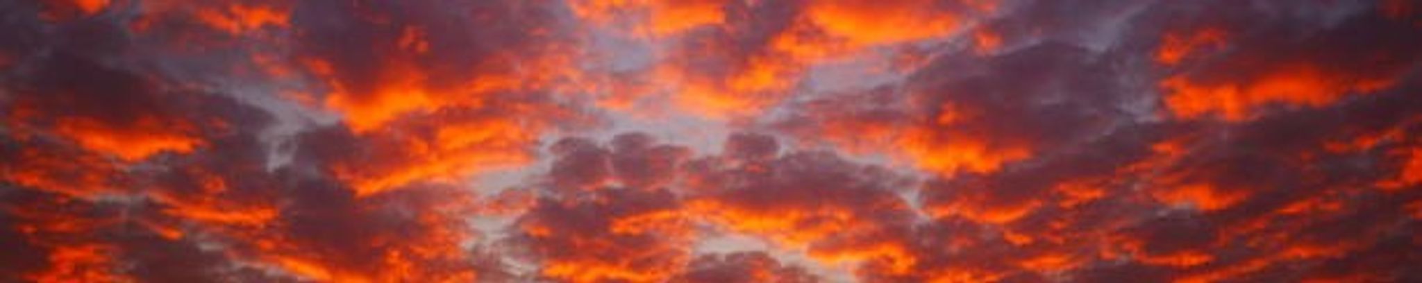 Cover photo for Timothy Jay Morris's Obituary