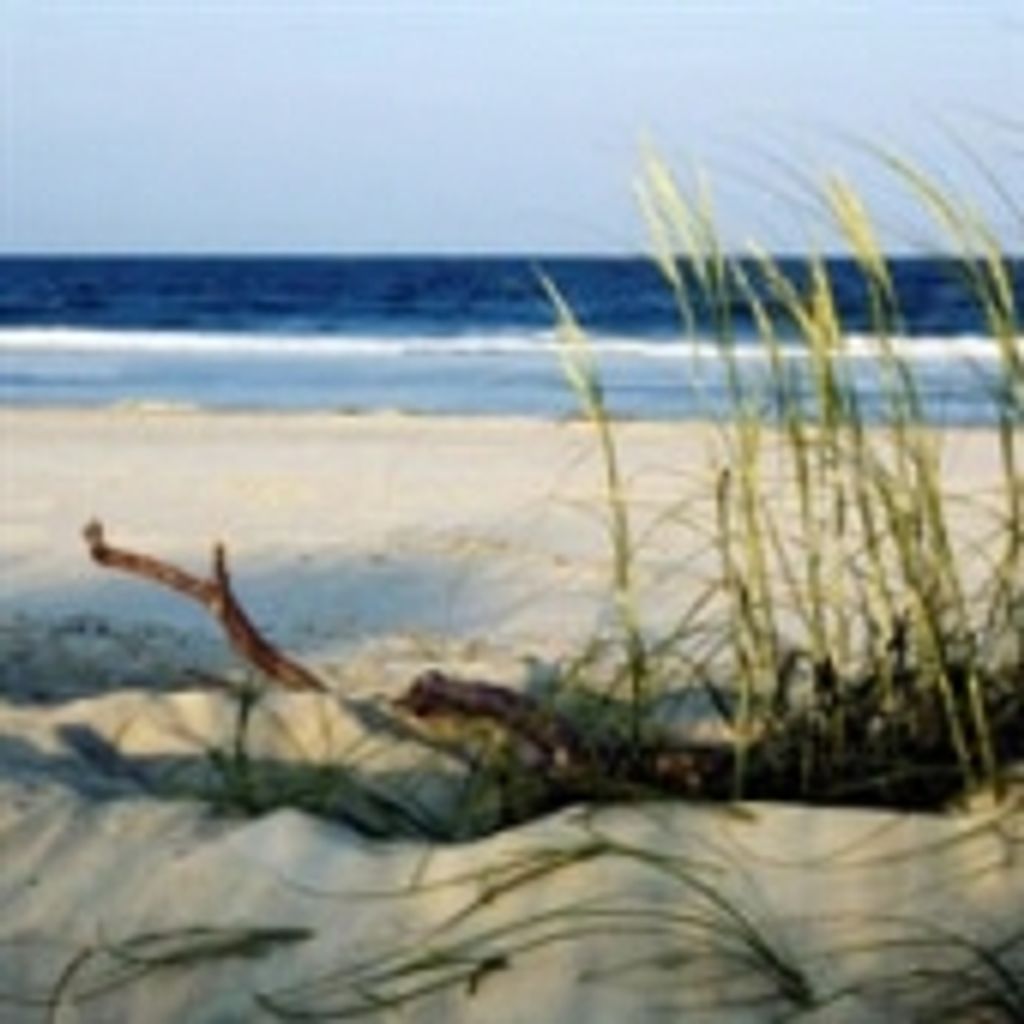 Roy Edison Bedingfield Jr.