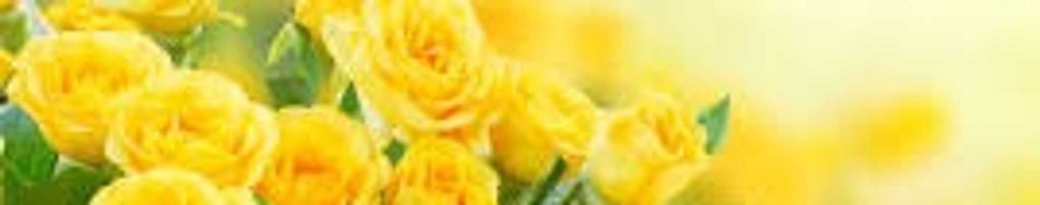 Cover photo for Wanda Blanks Waldrep's Obituary