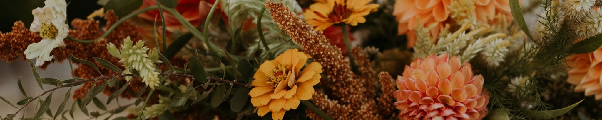 Cover photo for Sharon Glynn's Obituary