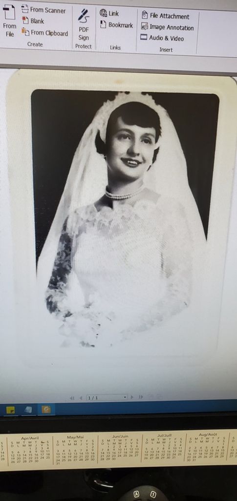 Jeanette M. O'Connor Profile Photo