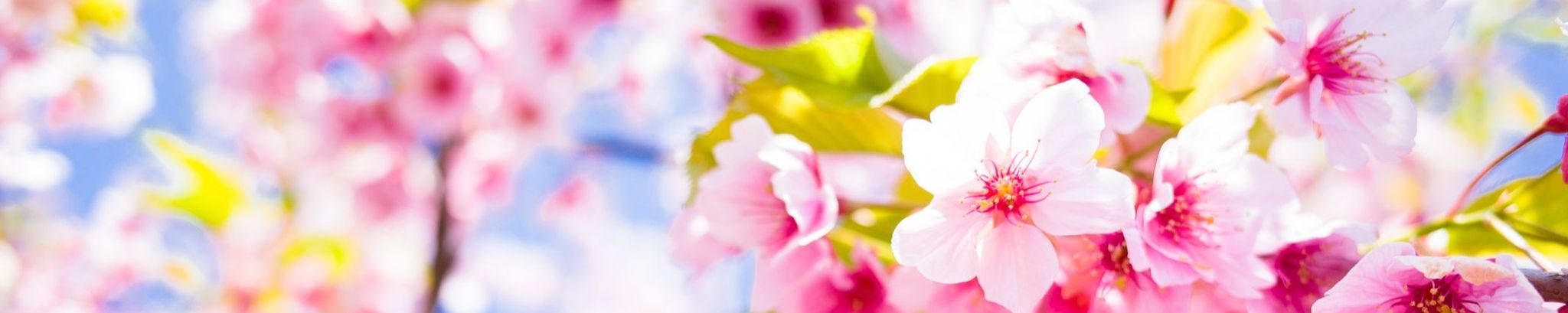 Cover photo for Barbara Page's Obituary