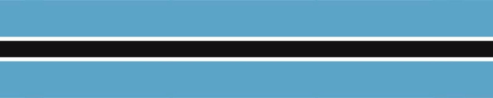 Cover for Molefe Fino Pheto's Obituary