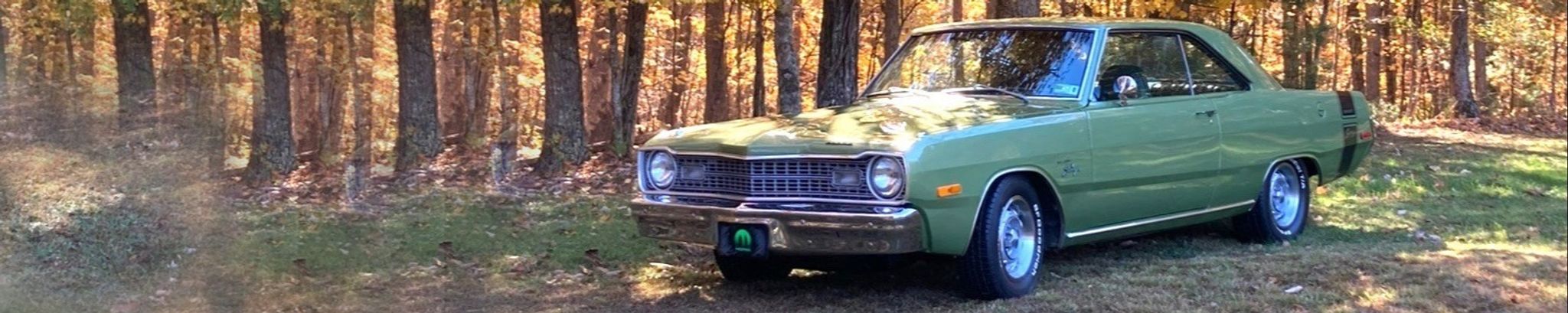 Cover for Diana Lynne Lusk's Obituary