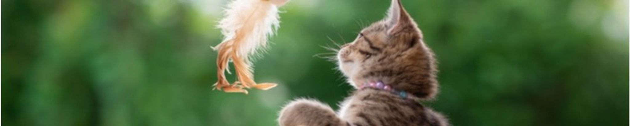Cover photo for Rose Reitz's Obituary