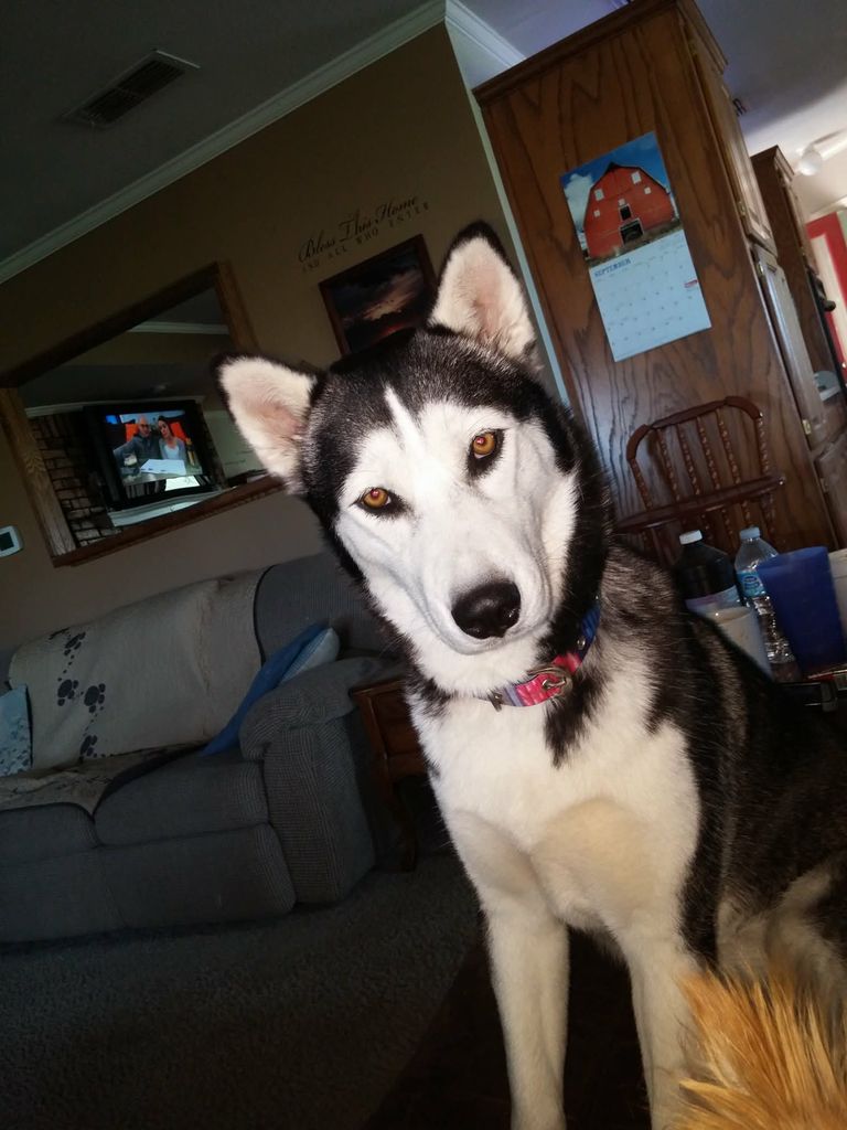Nakita Louise Weldon Profile Photo