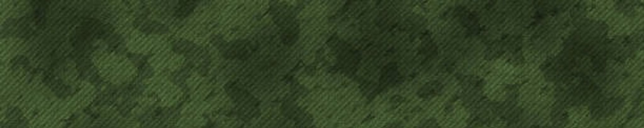 Cover for Erica Rene Gooding's Obituary