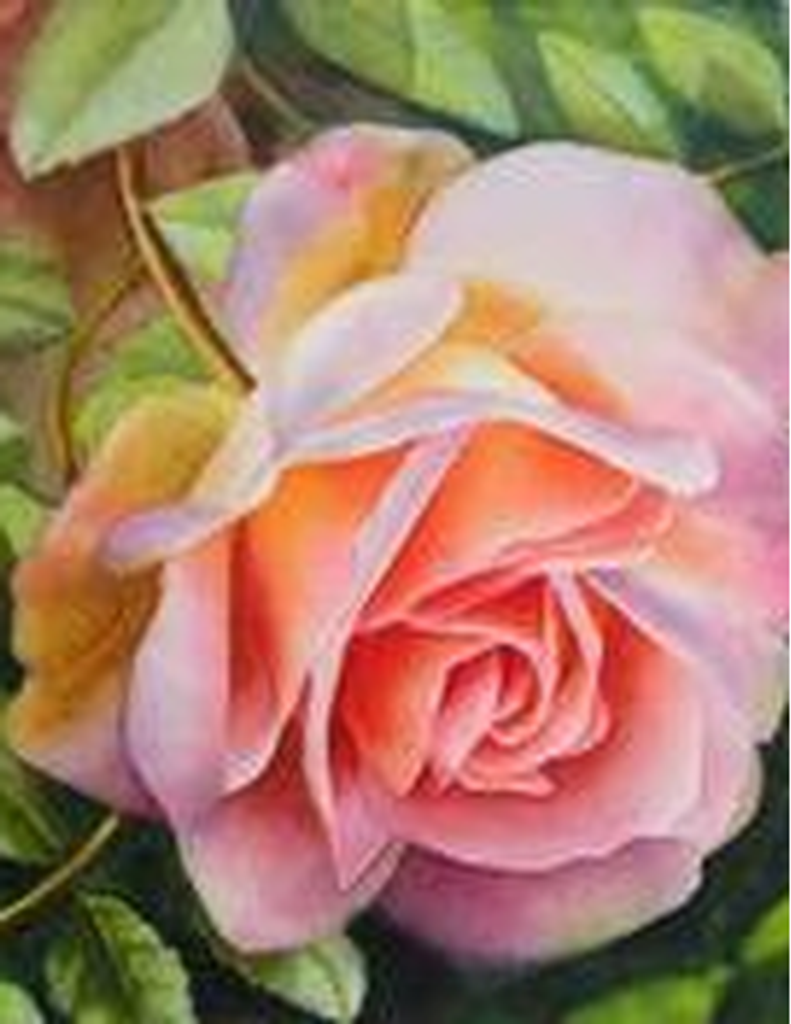 Aldana Estelle Springer Doran