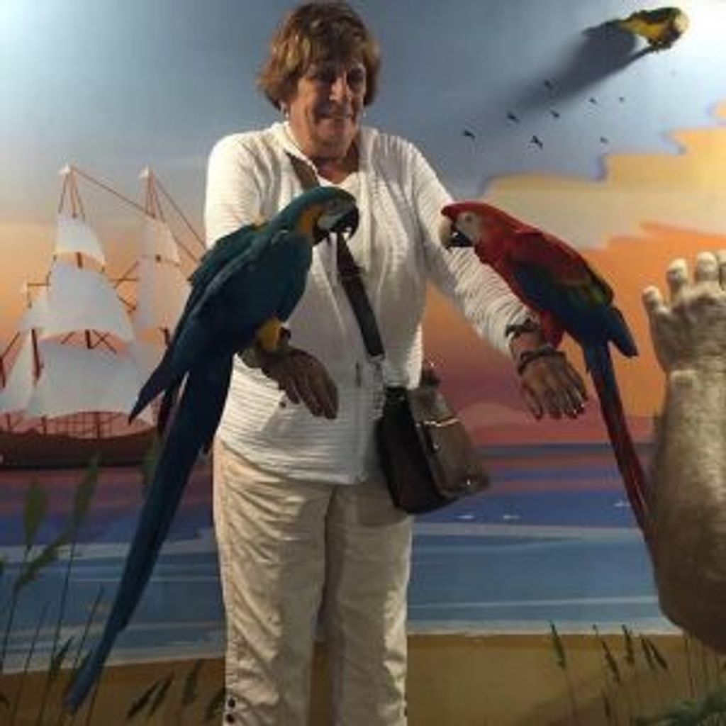 Patricia Dougherty Profile Photo