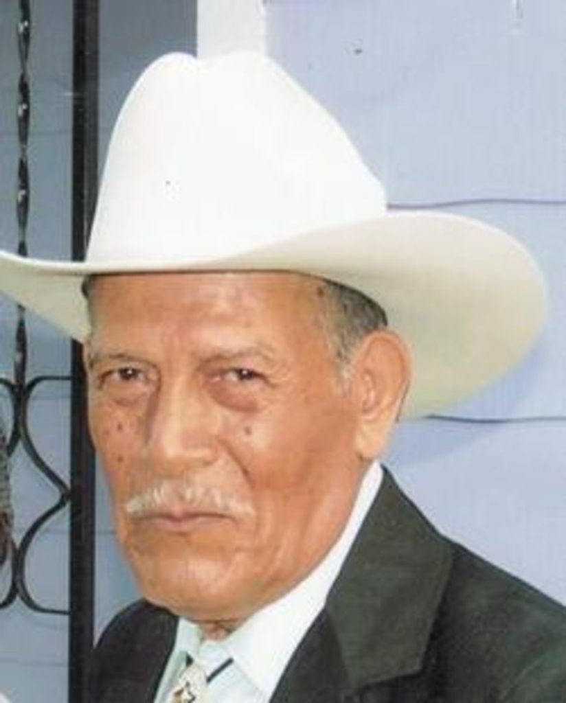 Camilo Vega Palacio Profile Photo