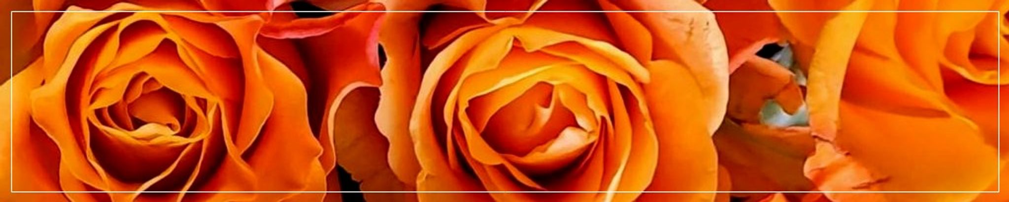 Cover for Marìa Padilla's Obituary