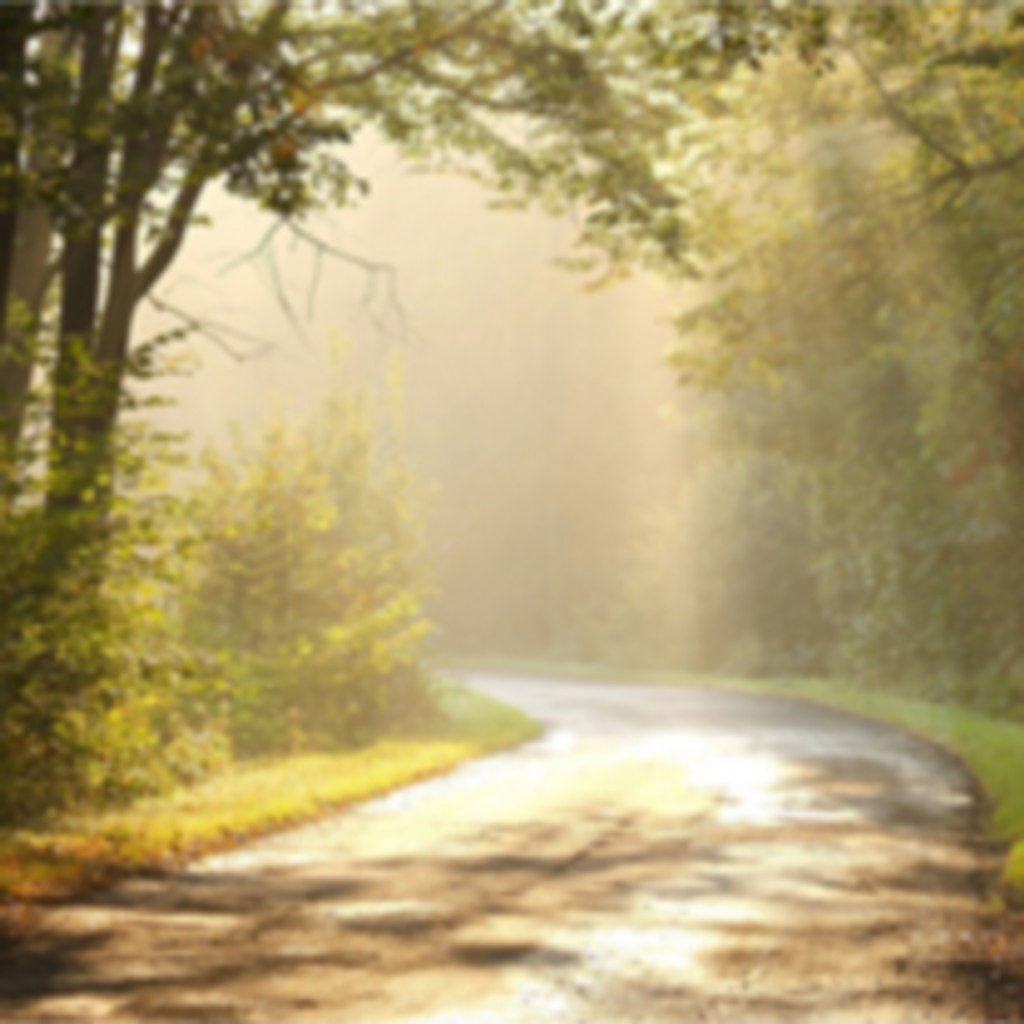 Cody Thomas Nelson Frey