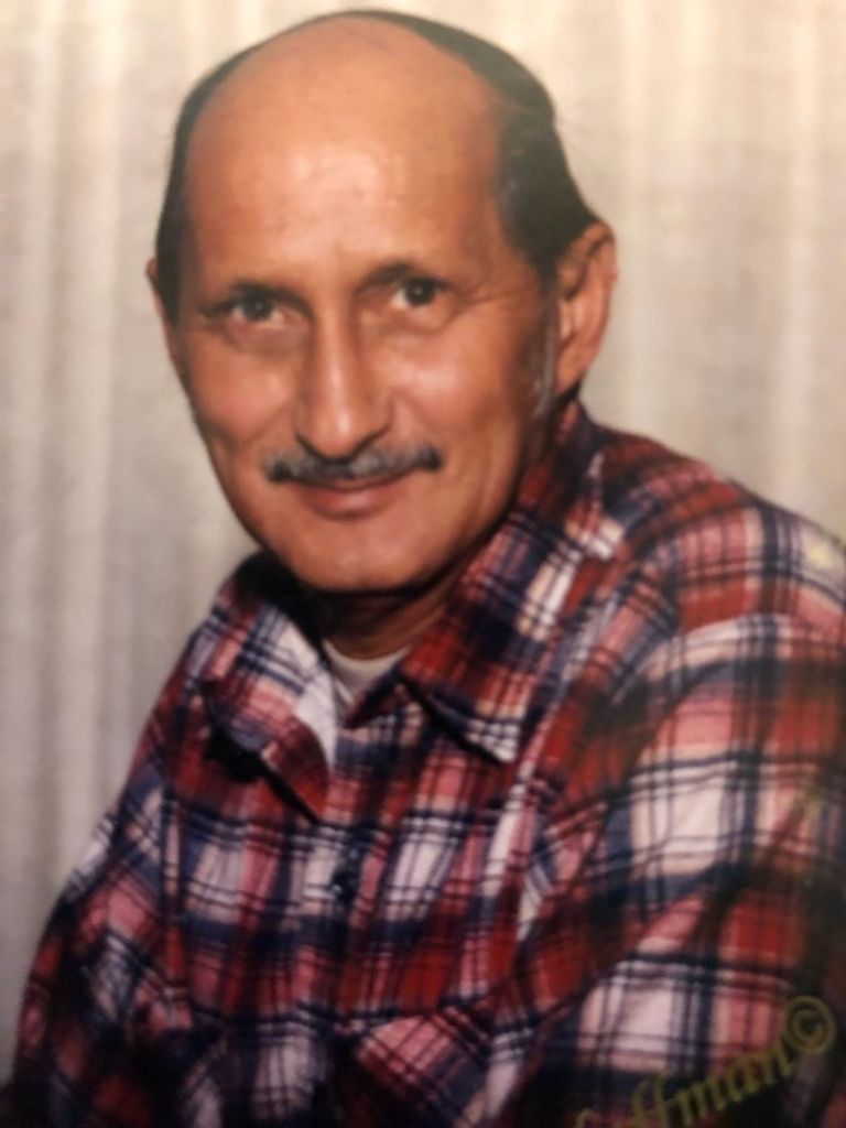 Robert Lewis Mayle