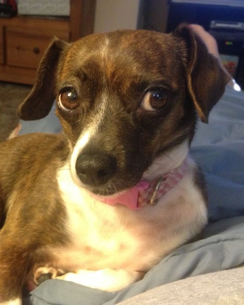 Cissy