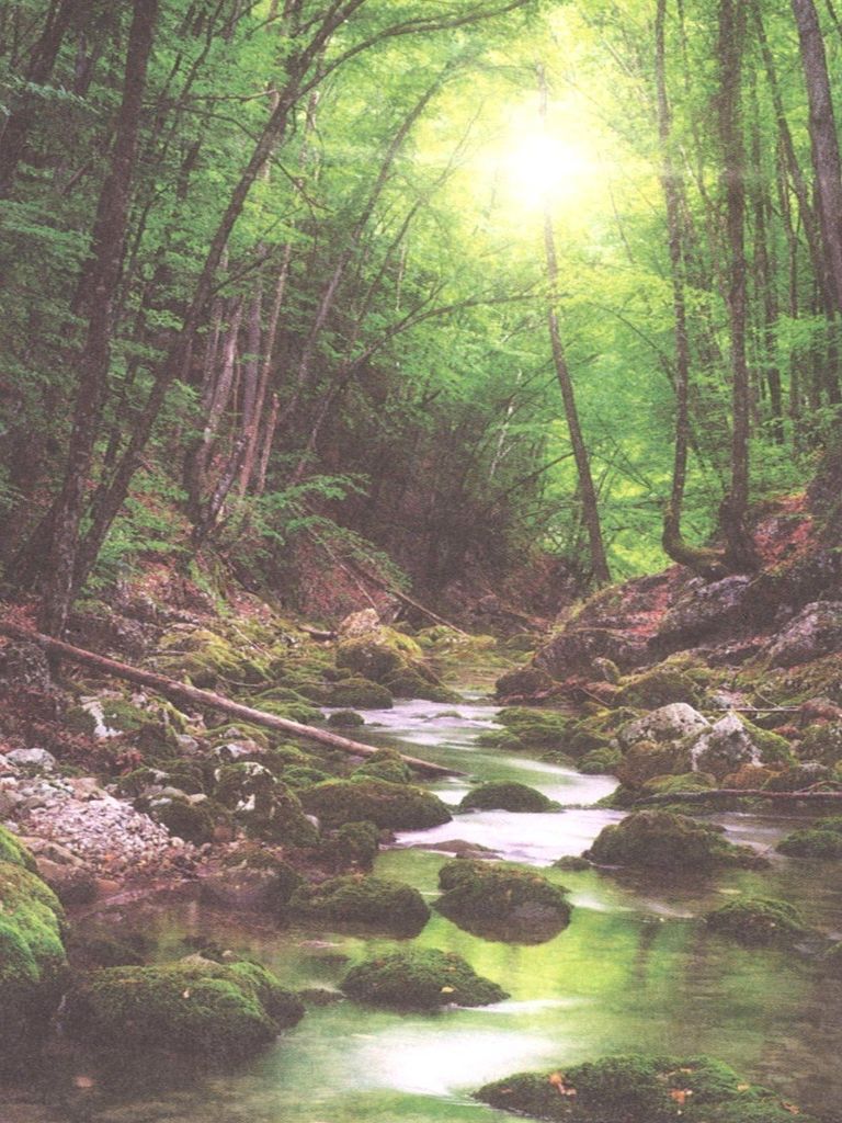 Goble Rush Ratliff Profile Photo