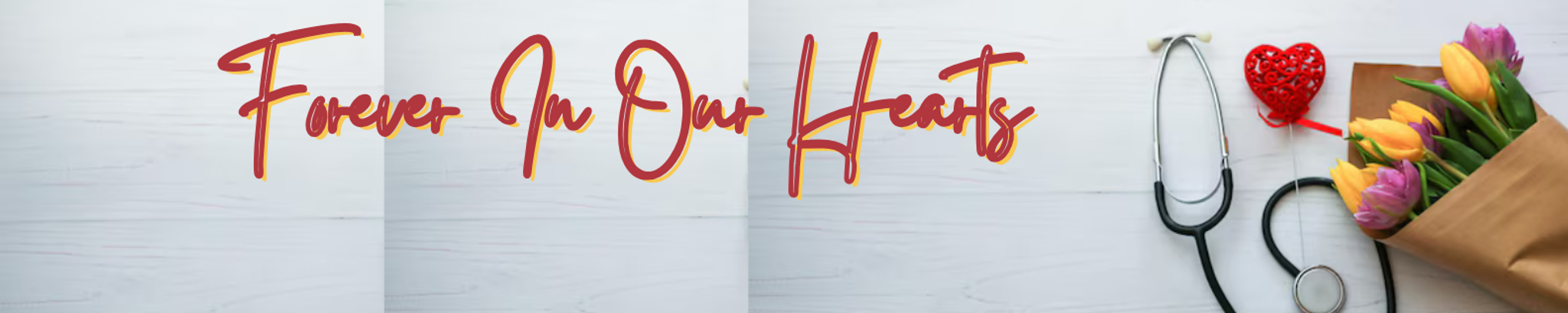 Cover photo for Mary Anne Haggerty's Obituary