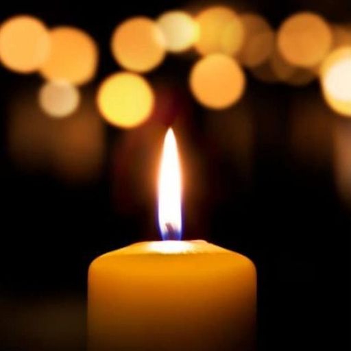 Fernanda Monteiro Profile Photo