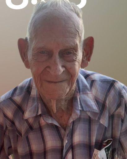 Elton Ray Chapin's obituary image