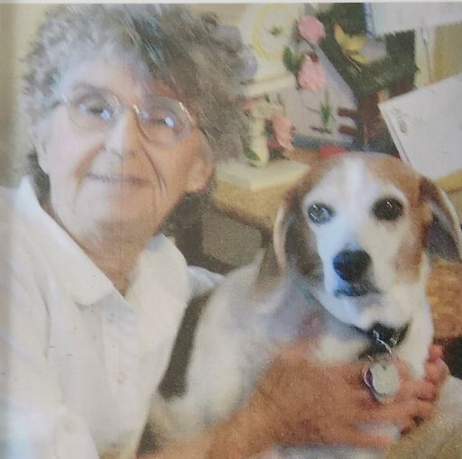 JoAnn Downing Profile Photo
