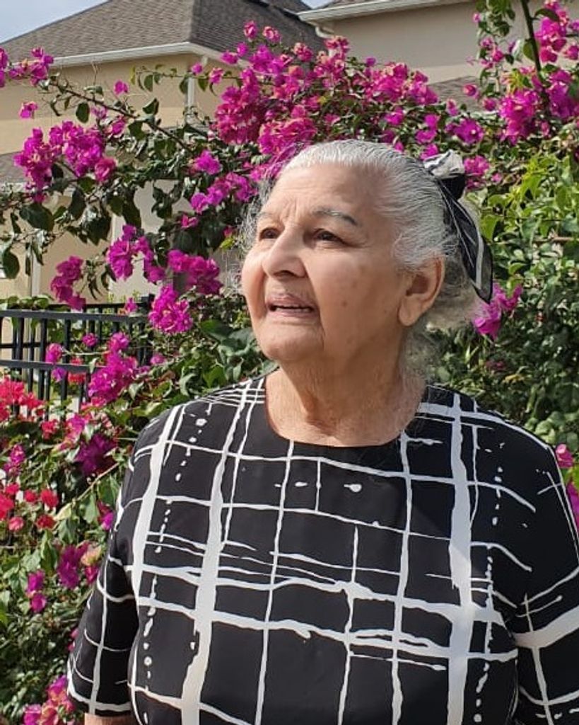Darcy Rocha de Souza Profile Photo