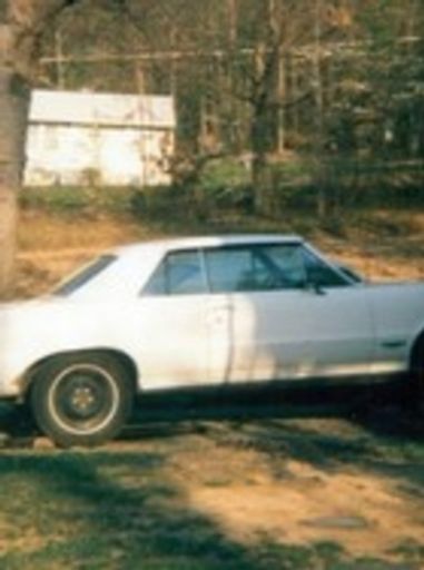 Lewis Steve Trail I Profile Photo