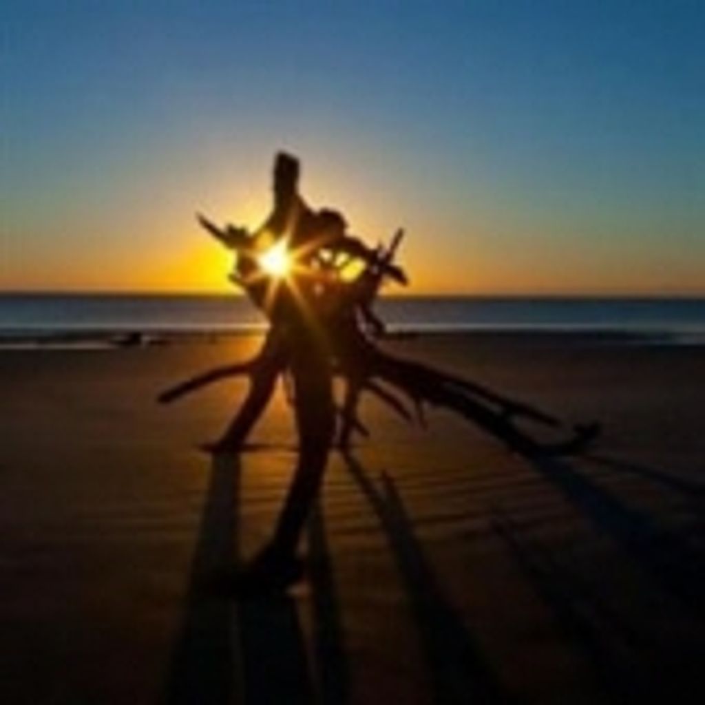 James Hugh Pittman Jr.