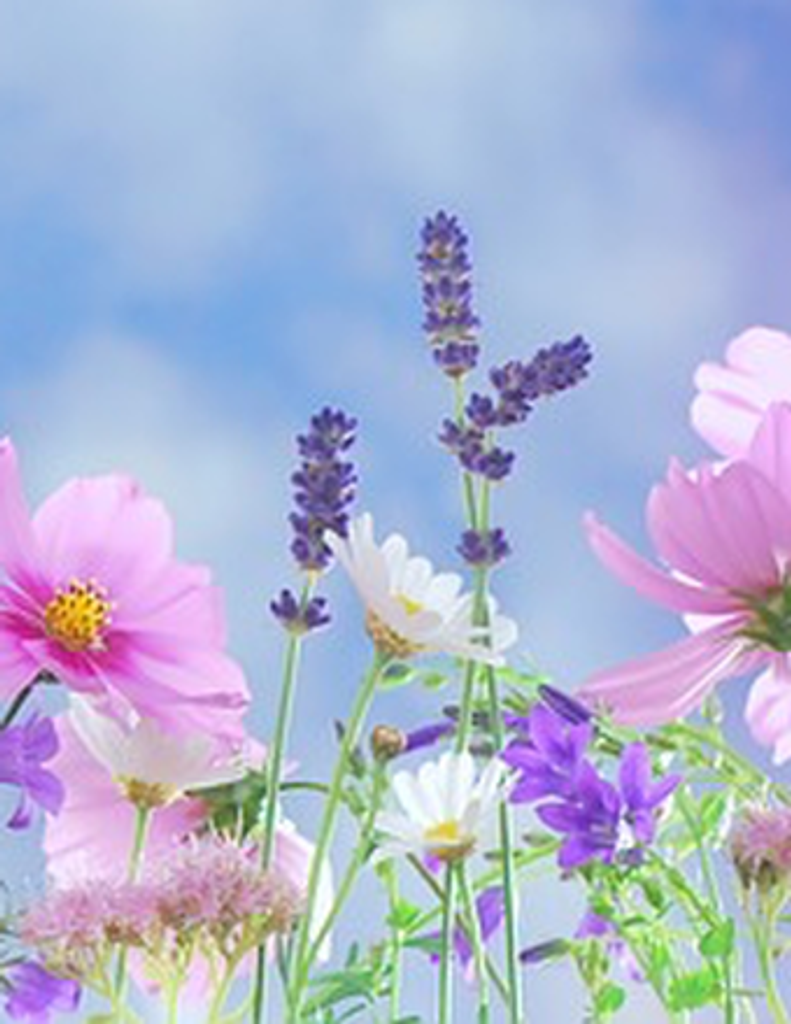 Pamela Joan (Houston) Dunn