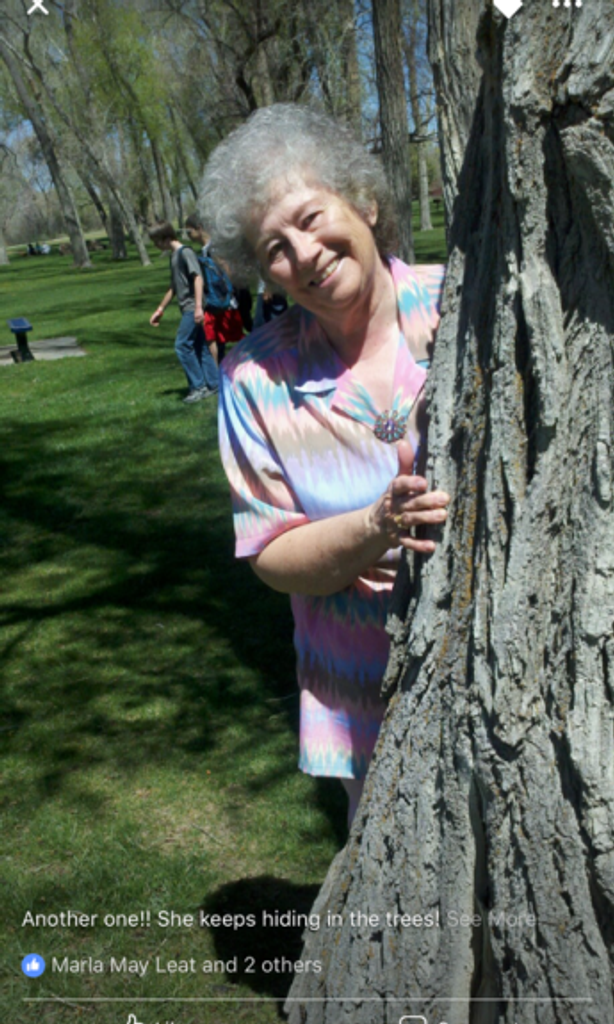 Carolyn J. Brooks (Topliss)