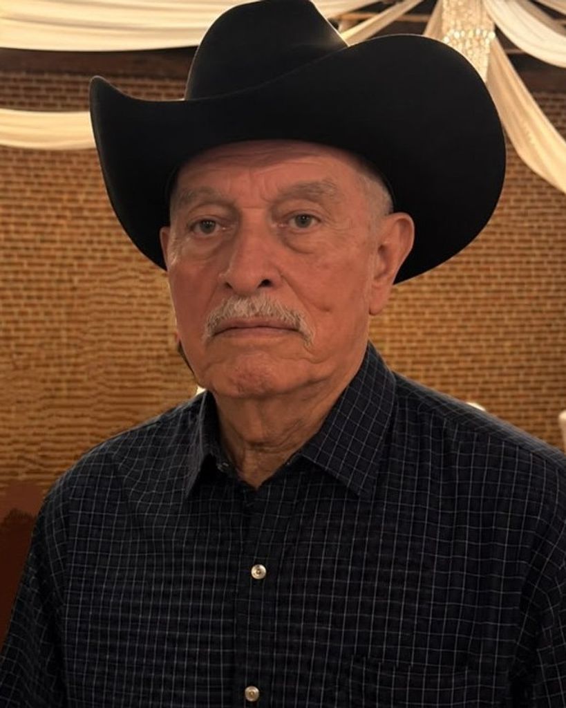 Domingo Perez Aldrete