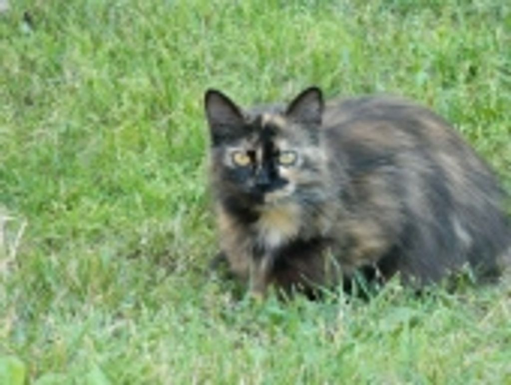 Buck Ullmer Reames Profile Photo