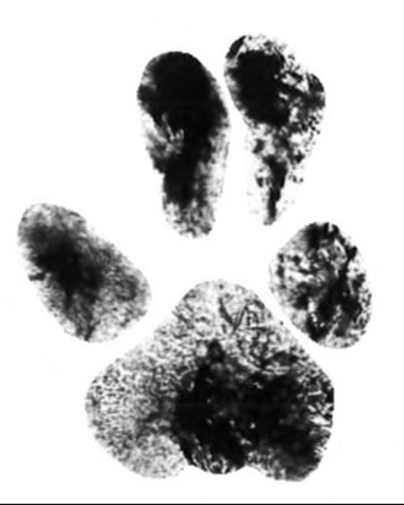 Katie Yepson Profile Photo