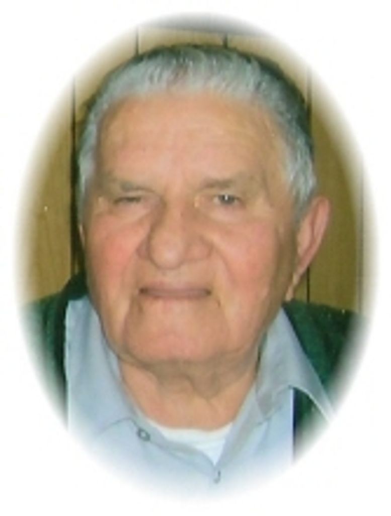 Domenico Bussi Profile Photo