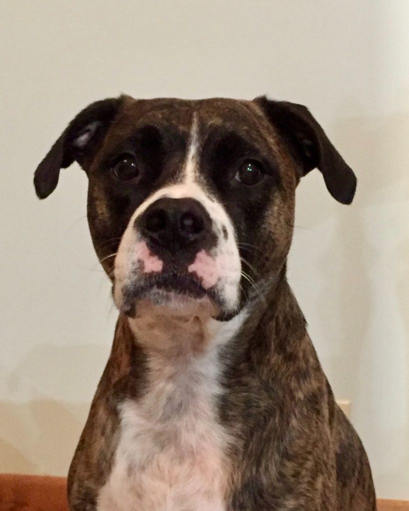 Opie "Boo Boo"Dodd Profile Photo