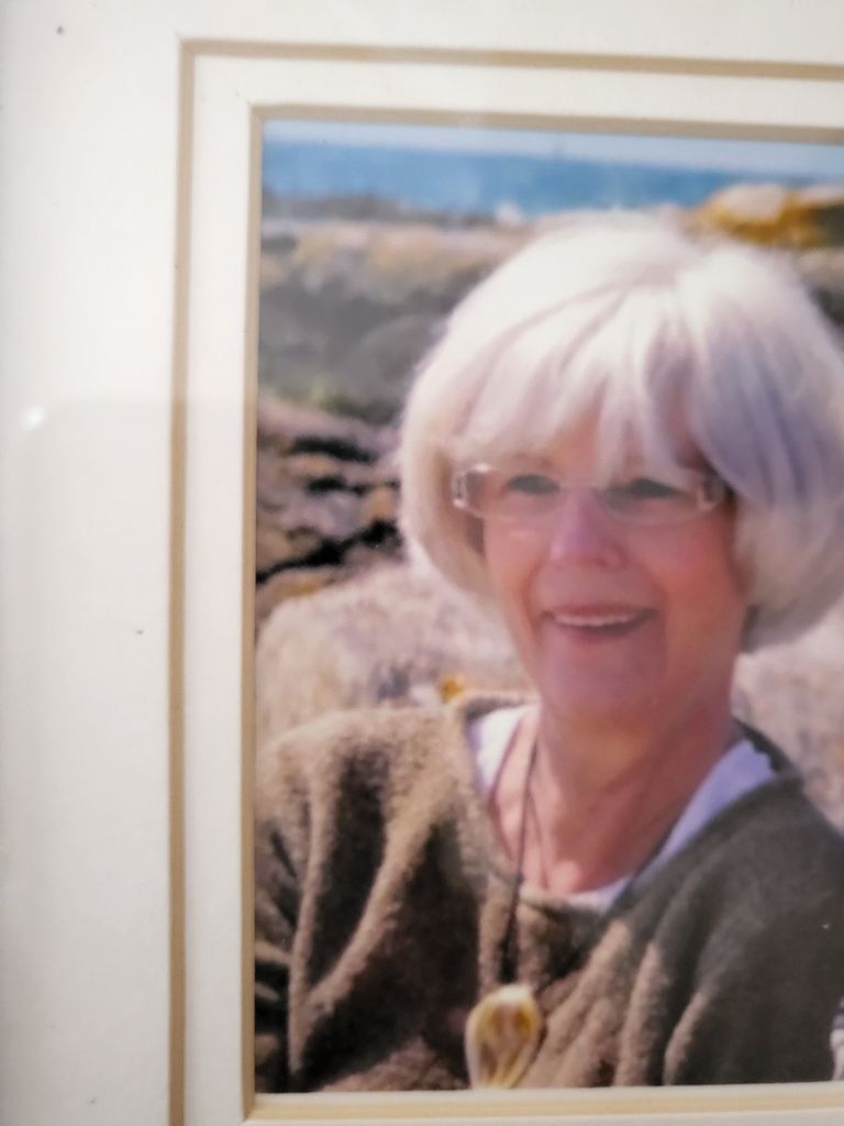Judy Rae Harasti