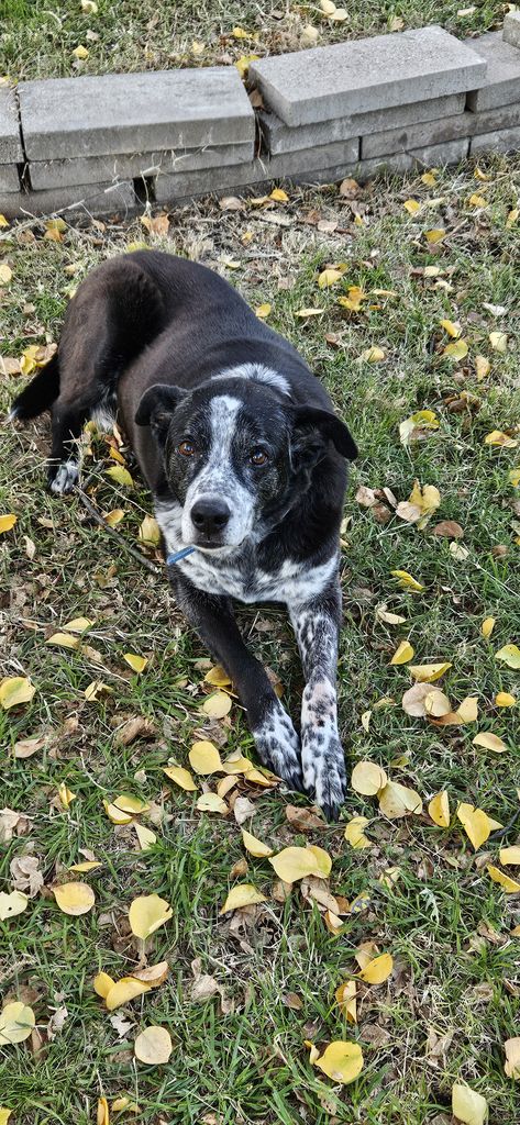 Zeke Profile Photo