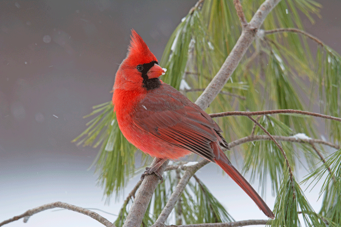 Hannah Jane Luther Profile Photo