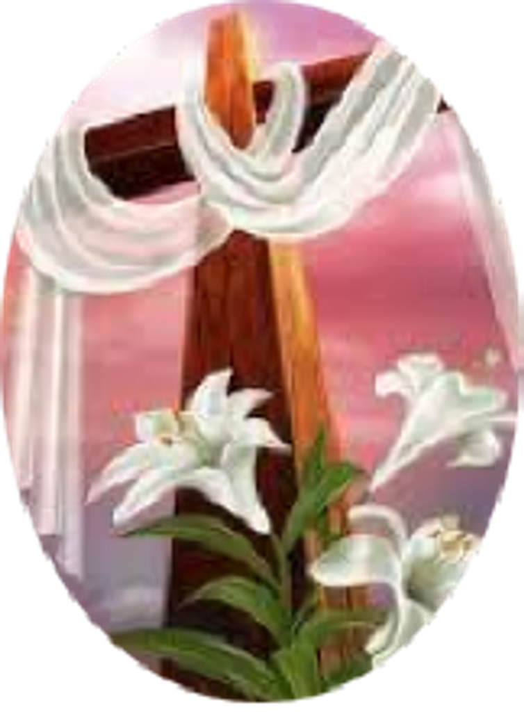Miladys Velez Feliciano