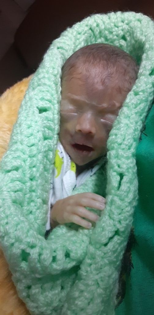 Jerome James  Bradley Lee