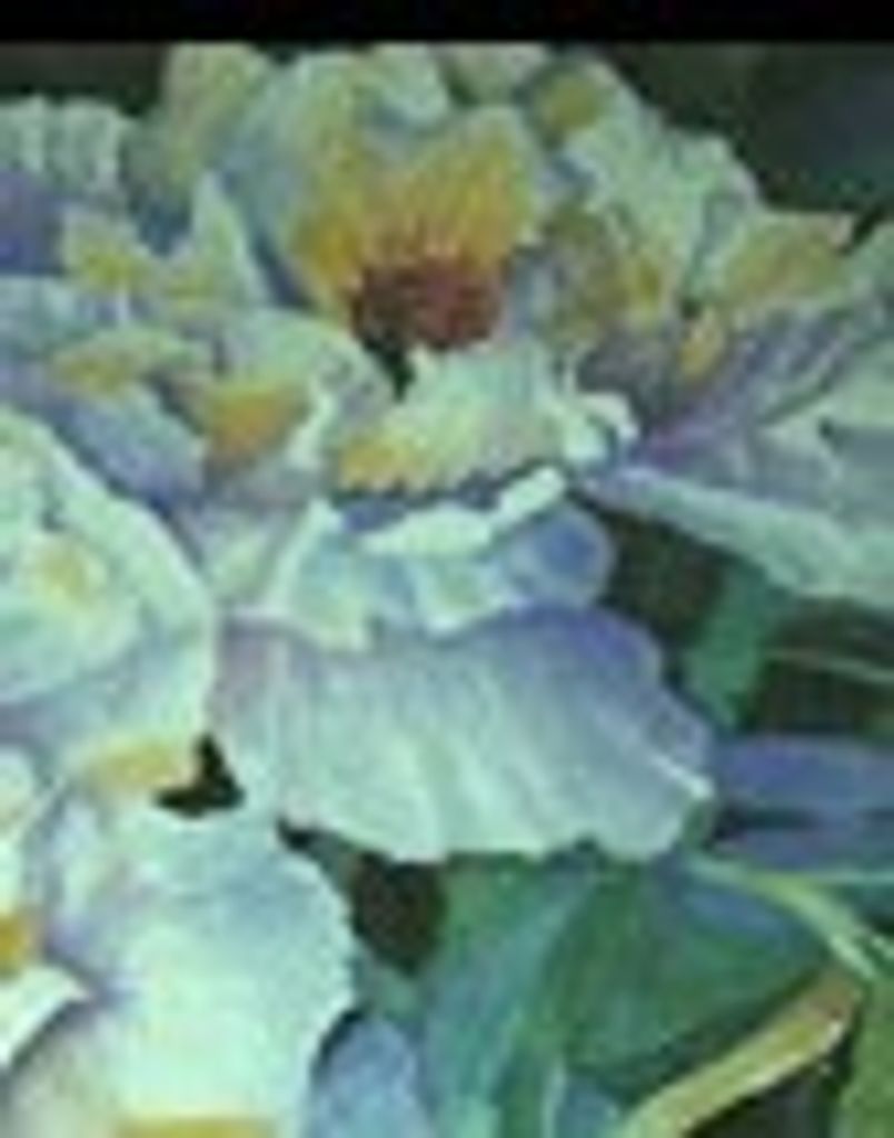 Virginia Dare Gaines