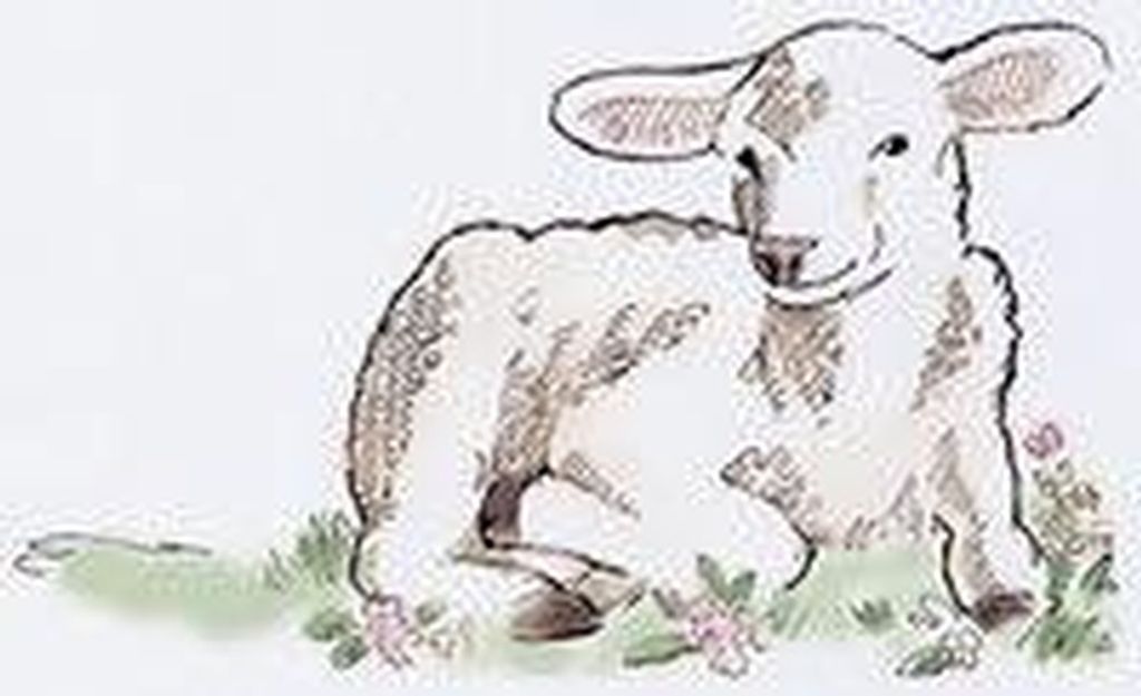 Kay Leigh Graverholt