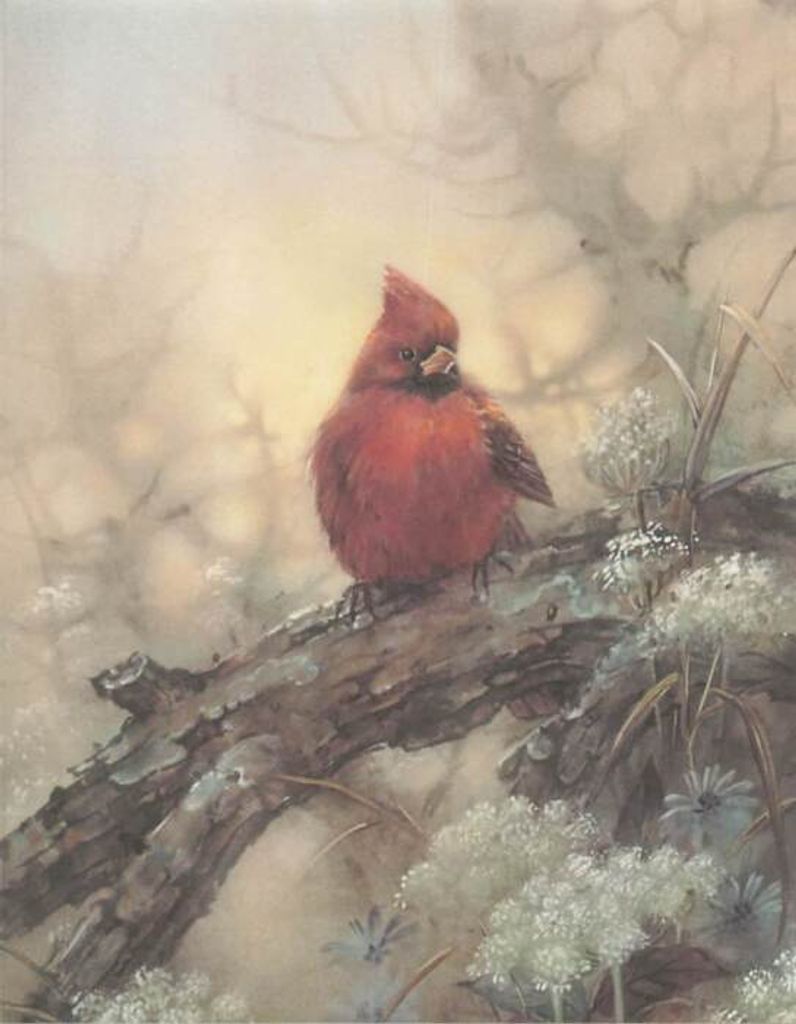 Marcia Lee Hamrick Profile Photo