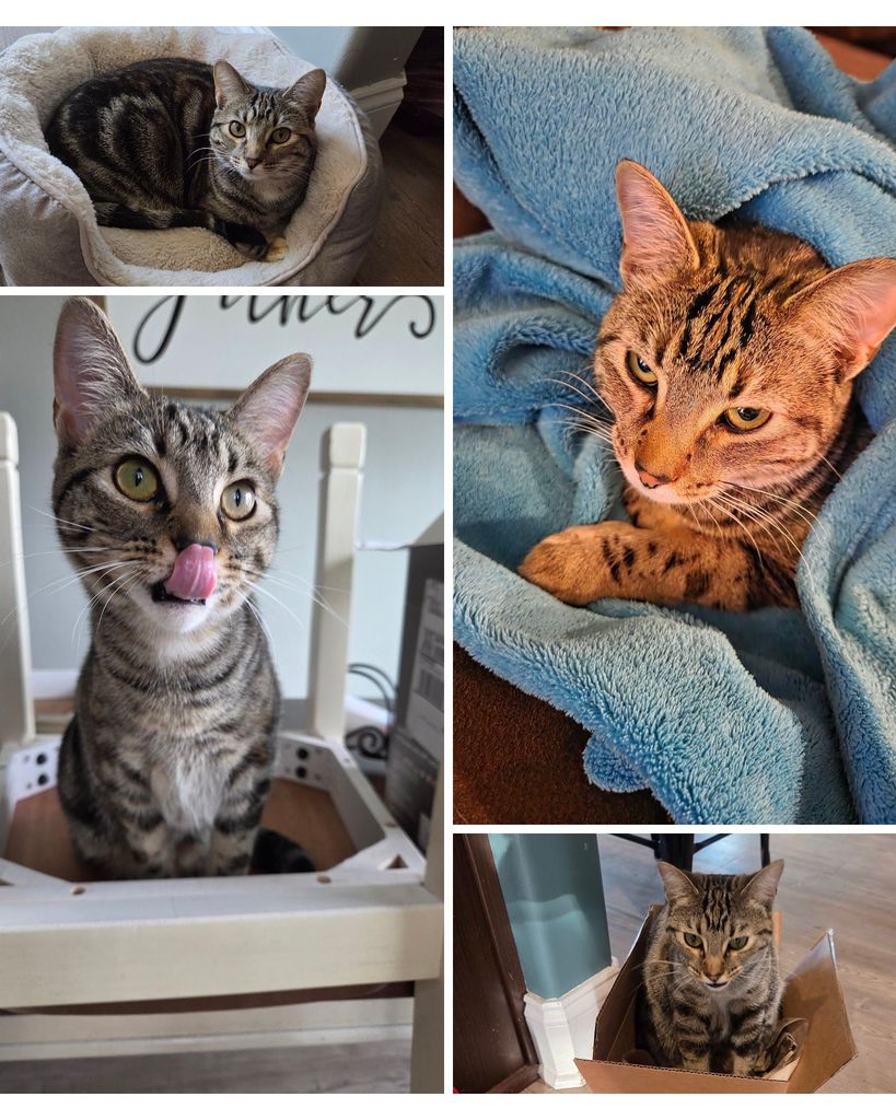 Tillie Daei Profile Photo