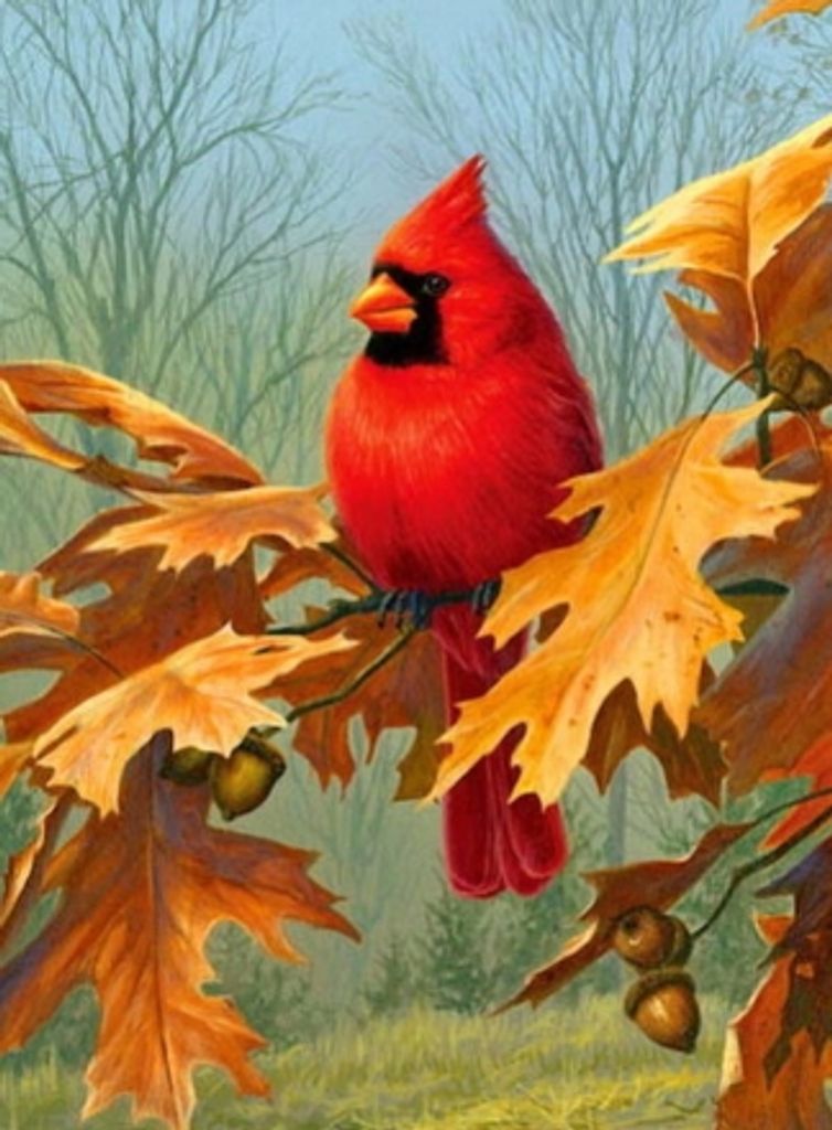 Dorothy Williams Pickard